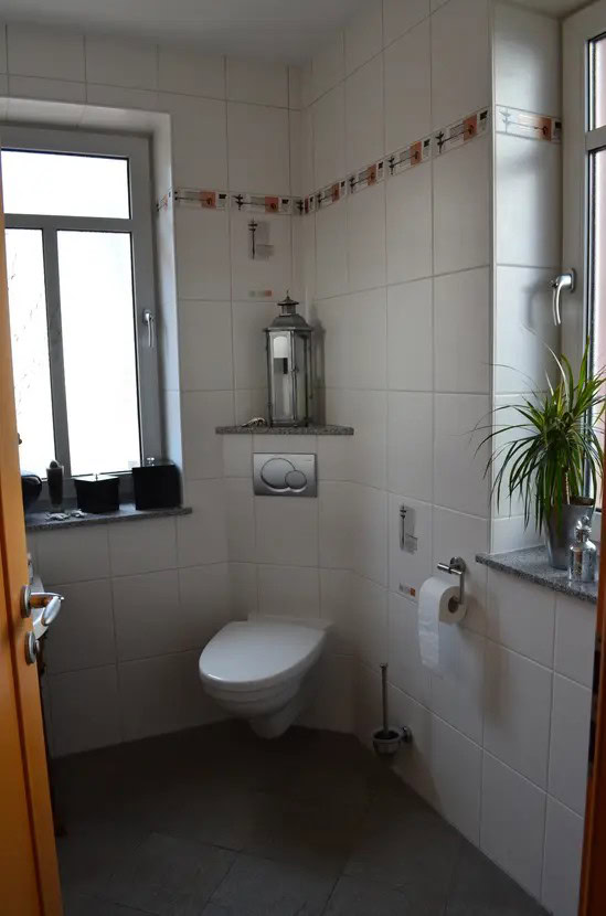 Modernes Badezimmer mit Toilette und Pflanzen