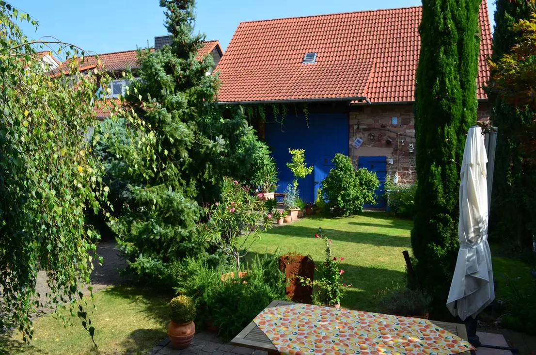 Grüner Garten mit Bäumen und Tisch im Vordergrund.
