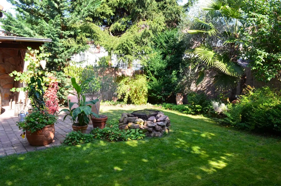 Grüner Garten mit Pflanzen und Feuerstelle.