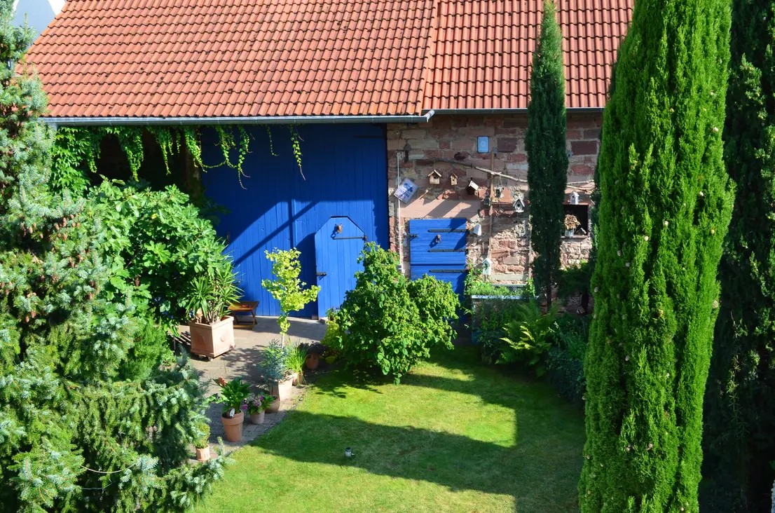 Garten mit blauen Türen und grünen Pflanzen.