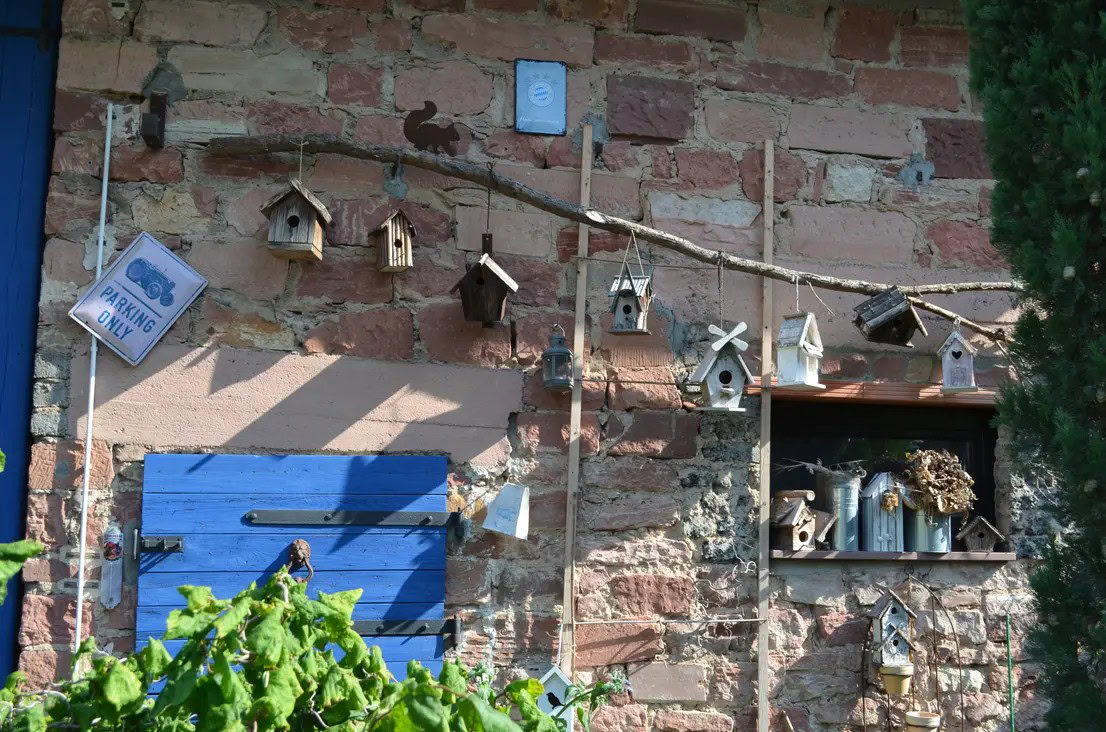 Vogelhäuser an Steinwand, blaues Fensterladen.